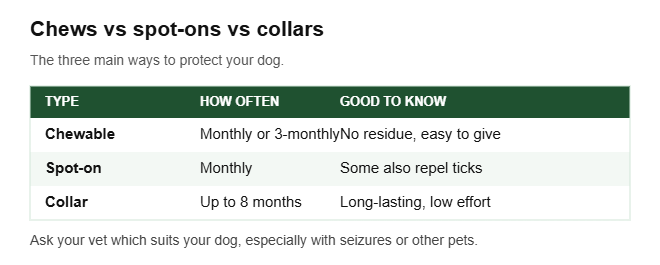 Flea and tick treatment for dogs comparison: chewables, spot-ons and collars