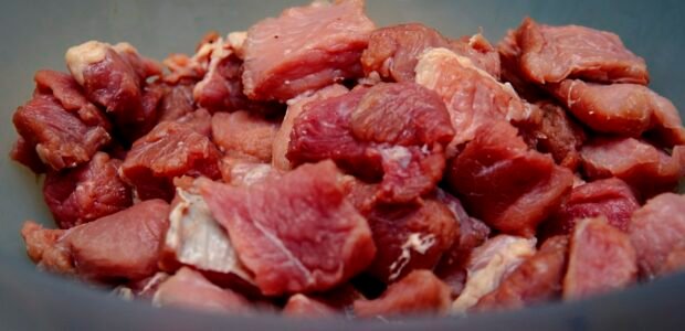 Raw dog food portion served in a bowl
