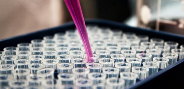STD testing cost without insurance – lab test tubes being filled