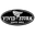 VIVIDSTORM logo