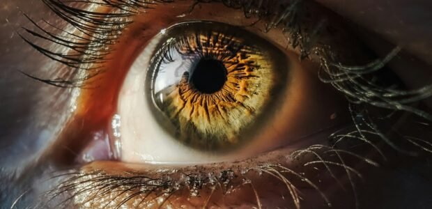 close up of a person's eye with long eyelashes, relevant to the dry eye products covered when asking is CorneaCare legit